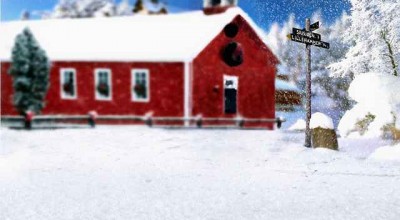 河源婚姻状况调查表下载 河源婚检去哪检查👉