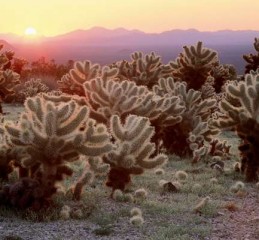 公司背景调查能查出婚姻情况吗 单位背景调查查婚姻吗👉