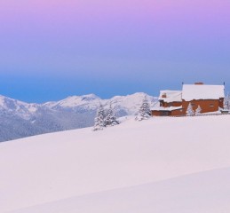 上海婚姻家庭调查中心地址 上海婚姻家庭调解委员会👉