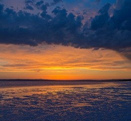 婚姻调查取证事务所哪好 婚姻取证调查公司👉