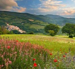 大同婚姻出轨调查报告范文 大同婚姻出轨调查报告范文怎么写👉