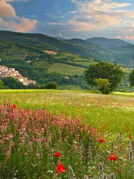 恋爱婚姻价值观调查报告 婚恋观念的调查问卷👉