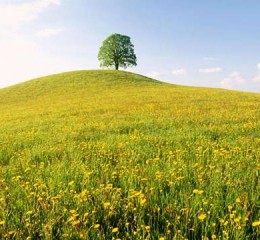 桂林人口婚姻状况调查报告 桂林市居住人口👉