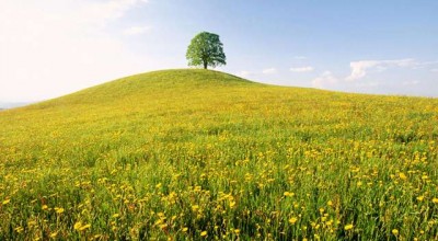 公司会不会调查婚姻状况 公司会查员工的婚姻情况吗👉