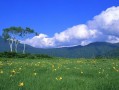 珠海调查出轨小三视频大全 2021年珠海小三浪攻略👉