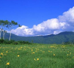 广州市婚姻调查取证中心电话号码 广州婚姻事务咨询👉