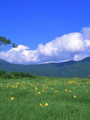 西安老大爷婚姻调查报告 陕西老大爷👉