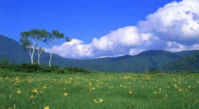 年龄对婚姻影响的调查报告 年龄对婚姻来说是不是大问题👉