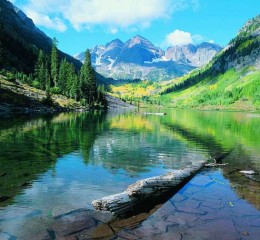 医护人员婚姻状况调查 医护人员调查报告👉