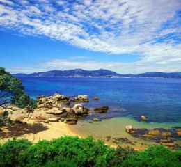 城市基层女性婚姻现状调查报告 城市或农村青年婚姻生育及家庭观念的调查分析👉