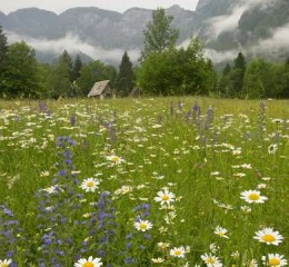 社会婚姻状况调查报告 社会婚姻状况调查报告怎么写👉