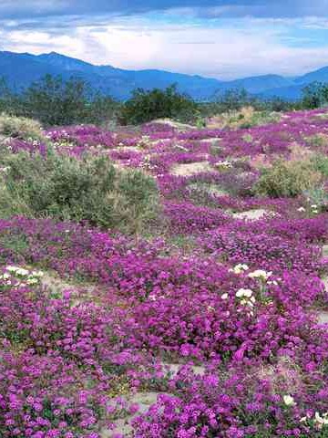 婚姻取证调查公司可信吗安全吗 婚姻取证调查公司可信吗安全吗知乎👉