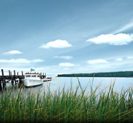 中国婚姻调查数据库官网 中国婚姻状况调查👉