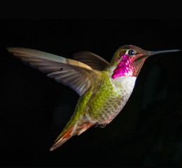 郑阳婚姻情感调查结果 郑阳婚姻情感调查结果怎么样👉