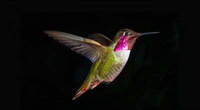 新疆婚姻状况调查表格 2020年婚姻状况调查👉