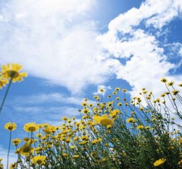 天津婚姻调查取证多少钱 婚姻调查取证合法吗👉