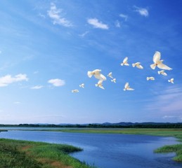 家庭和婚姻的调查问卷题目 家庭和婚姻的调查问卷题目大全👉