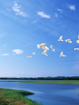 家庭和婚姻的调查问卷题目 家庭和婚姻的调查问卷题目大全👉