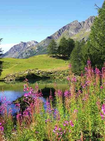 四川婚姻制度调查报告 四川省婚姻法实施办法👉