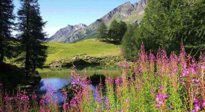 四川婚姻制度调查报告 四川省婚姻法实施办法👉