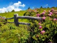 葫芦岛私人调查 葫芦岛调查公司电话👉