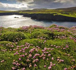 黄冈婚姻现象调查结果公示 黄冈婚姻登记处电话👉