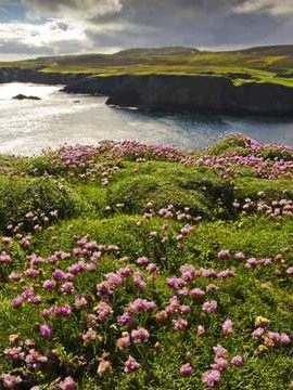 黄冈婚姻现象调查结果公示 黄冈婚姻登记处电话👉