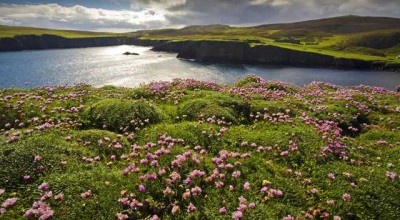 西藏导游婚姻状况调查表 西藏当地找导游需要多少钱👉