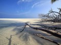珠海中年人婚姻状况调查 珠海中老年人征婚网👉