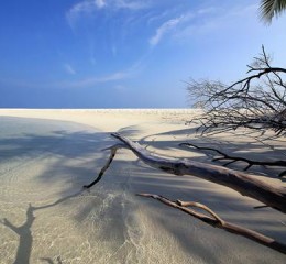 婚姻状况调查统计图片大全 婚姻状况调查表模板👉