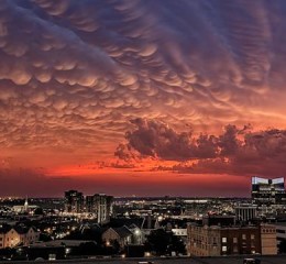 婚姻问题的社会调查论文 关于婚姻的社会调查👉