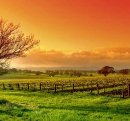 莒县婚姻状况调查结果公布 莒县婚姻状况调查结果公布时间👉