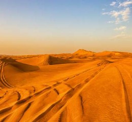 挽回爱情被骗6800 怎么挽回被骗的钱👉