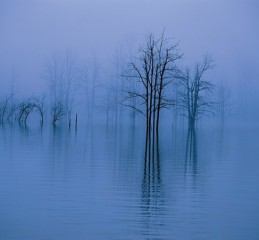 女性婚姻法律问题调查报告 新婚姻法调查报告👉