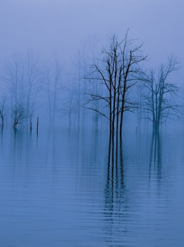 女性婚姻法律问题调查报告 新婚姻法调查报告👉