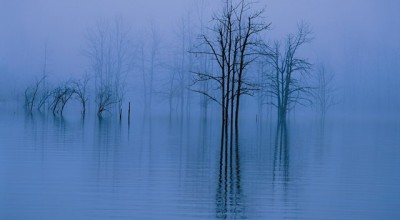 婚姻恐惧症相关调查问卷 女生婚姻恐惧症👉