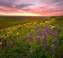 制定调查方案恋爱婚姻观 恋爱调查结果分析👉