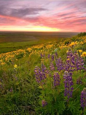 国外老年人的婚姻观调查 国外老年人生活👉