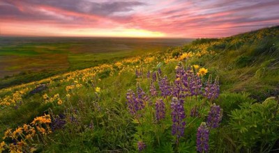 制定调查方案恋爱婚姻观 恋爱调查结果分析👉