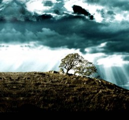 民政部婚姻调查报告怎么写 婚姻调查报告范文2000字👉