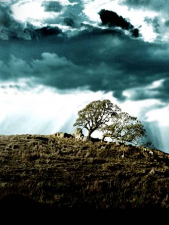 关于婚姻家庭的调查问卷 关于婚姻家庭的调查问卷题目👉