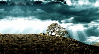 民政部婚姻调查报告怎么写 婚姻调查报告范文2000字👉