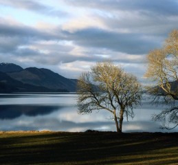 成都男人婚姻状况调查报告 成都的男的👉